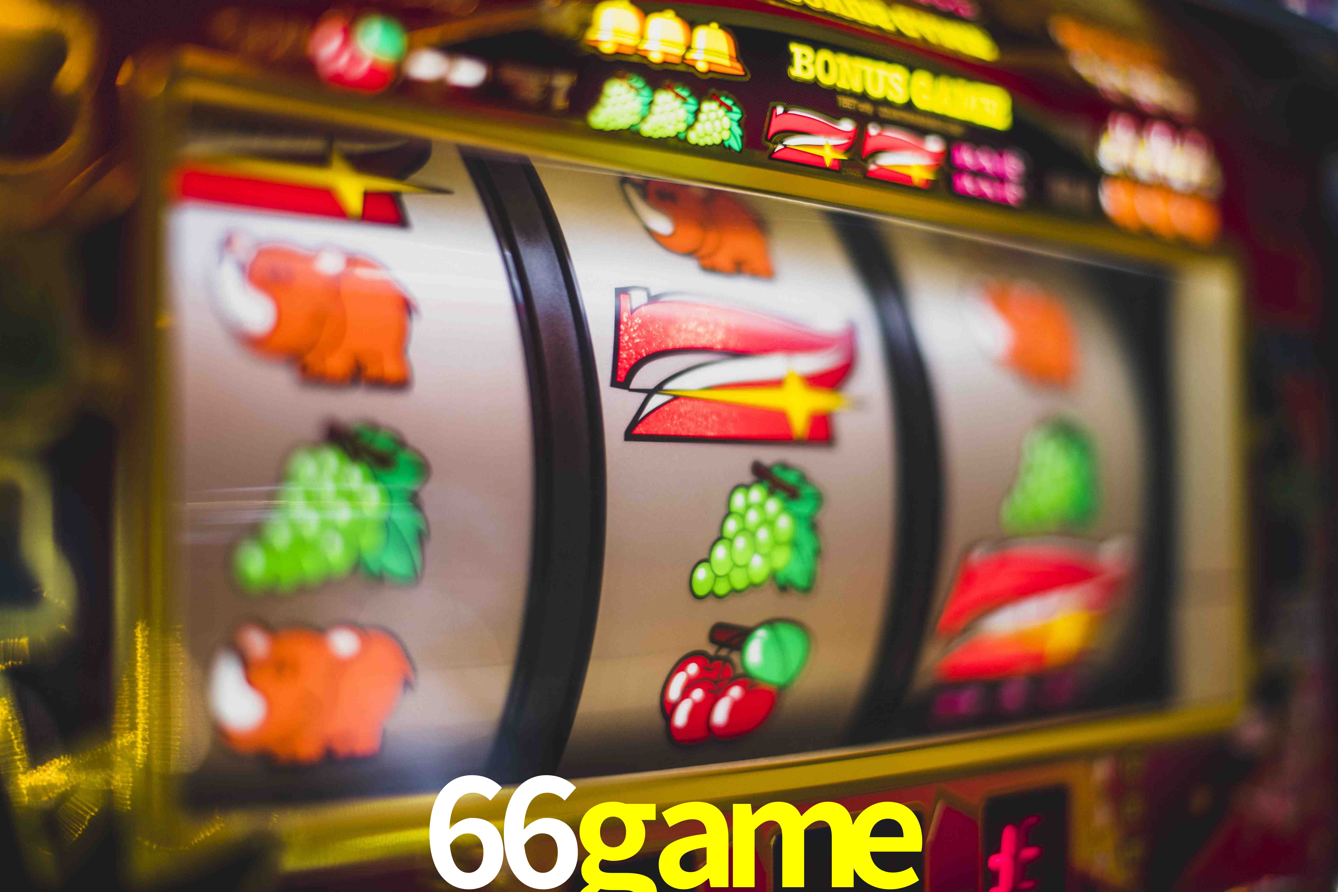 Football Betting 66game